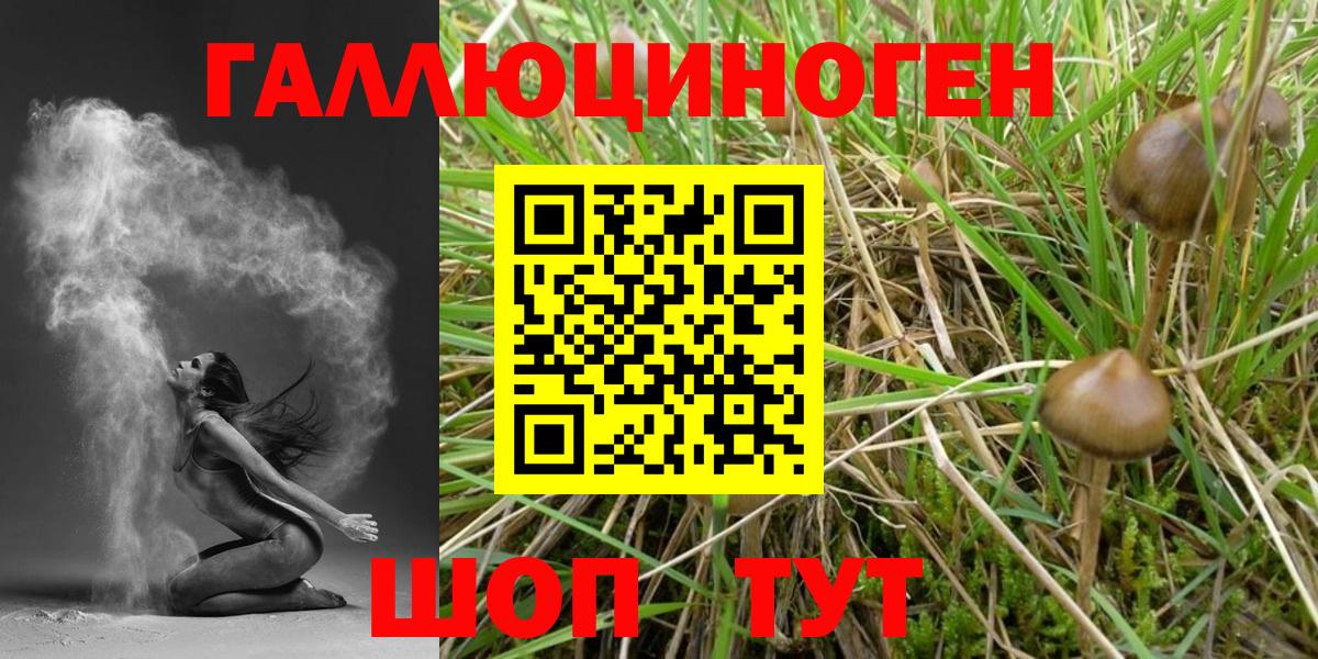 Галлюциногенные грибы Cubensis Юрга