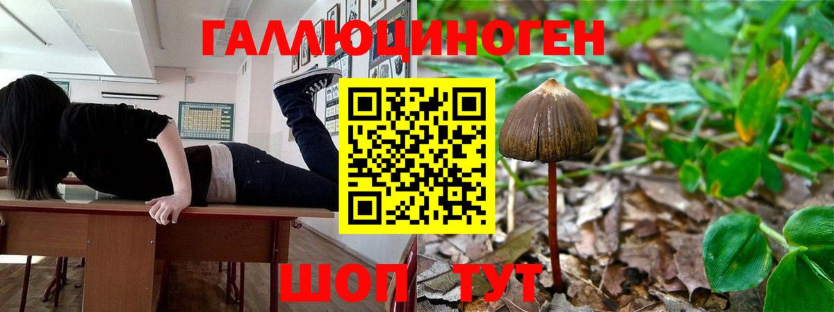 Псилоцибиновые грибы MAGIC MUSHROOMS  Вход с VPN  Юрга  Псилоцибиновые грибы Psilocybe 